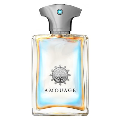 Amouage Portrayal For Men 100 ml