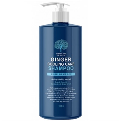 Шампунь для волос укрепление-охлаждение Argan Oil Ginger Cooling Care Evas 1000 мл