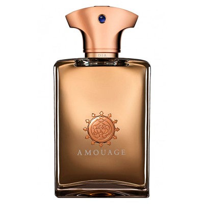 Amouage Dia For Men 100 ml