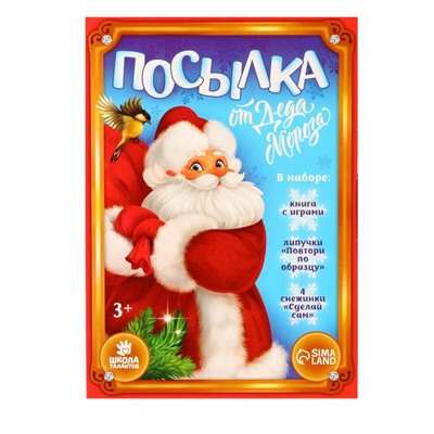 Развивающий набор с играми «Посылка от Деда Мороза»